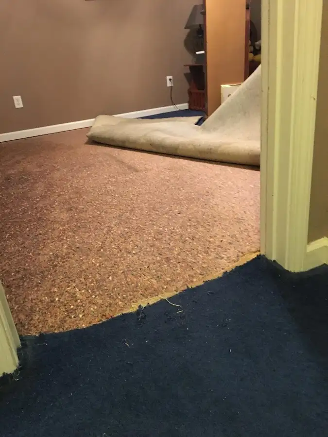 Carpet pad removal revealing water damage during Water Mitigation Services in Cliffside Park