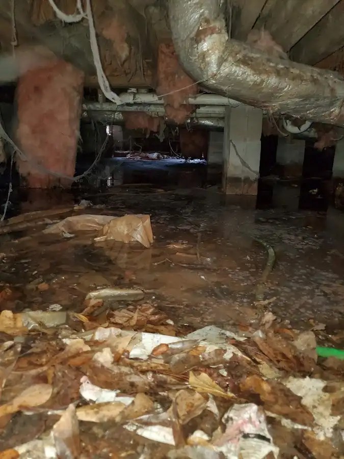 Crawl space flood assessment for Commercial Water Damage Restoration in Cliffside Park