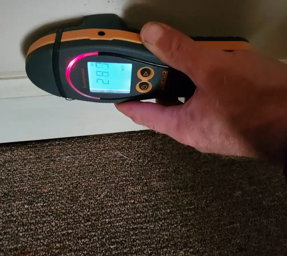 Moisture detection at baseboard during Sewage Cleanup & Sanitation in Cliffside Park